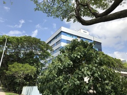 Admiralty Industrial Park (D27), Factory #167252652